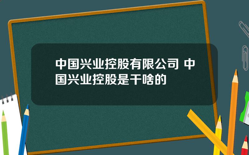 中国兴业控股有限公司 中国兴业控股是干啥的